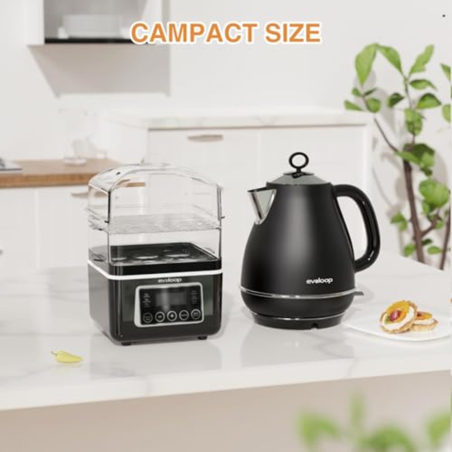 2 Tiers Electric Food Steamer  - đánh giá và giá Egg Cooker Rapid