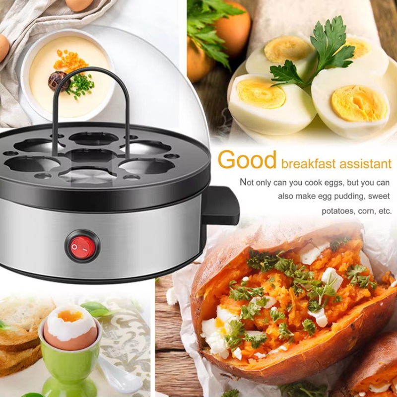 Fast Egg Boiler Stainless Stee - đánh giá và giá Egg Cooker Rapid