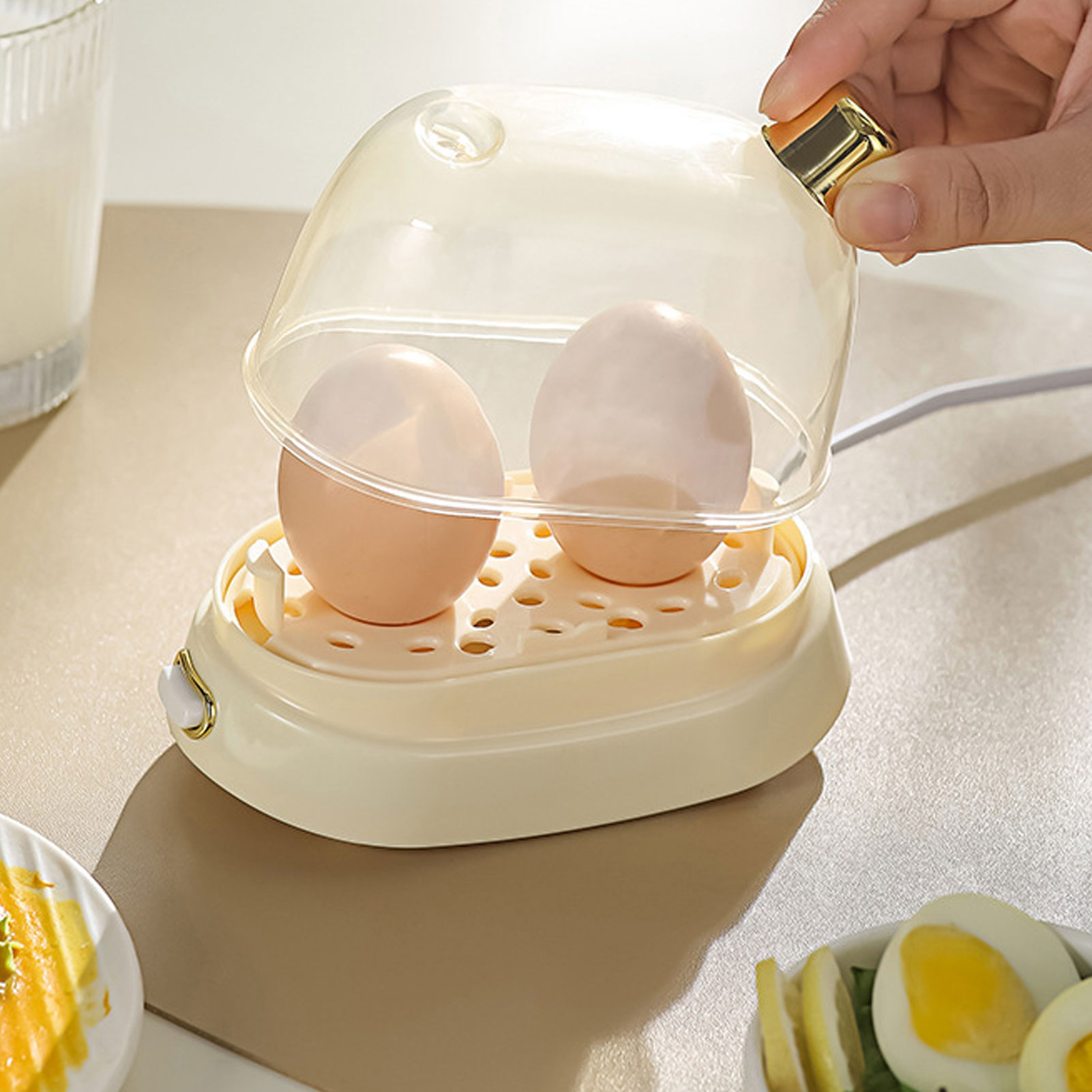 Rapid Egg Cooker 2 Egg Capacit - đánh giá và giá Egg Cooker Rapid