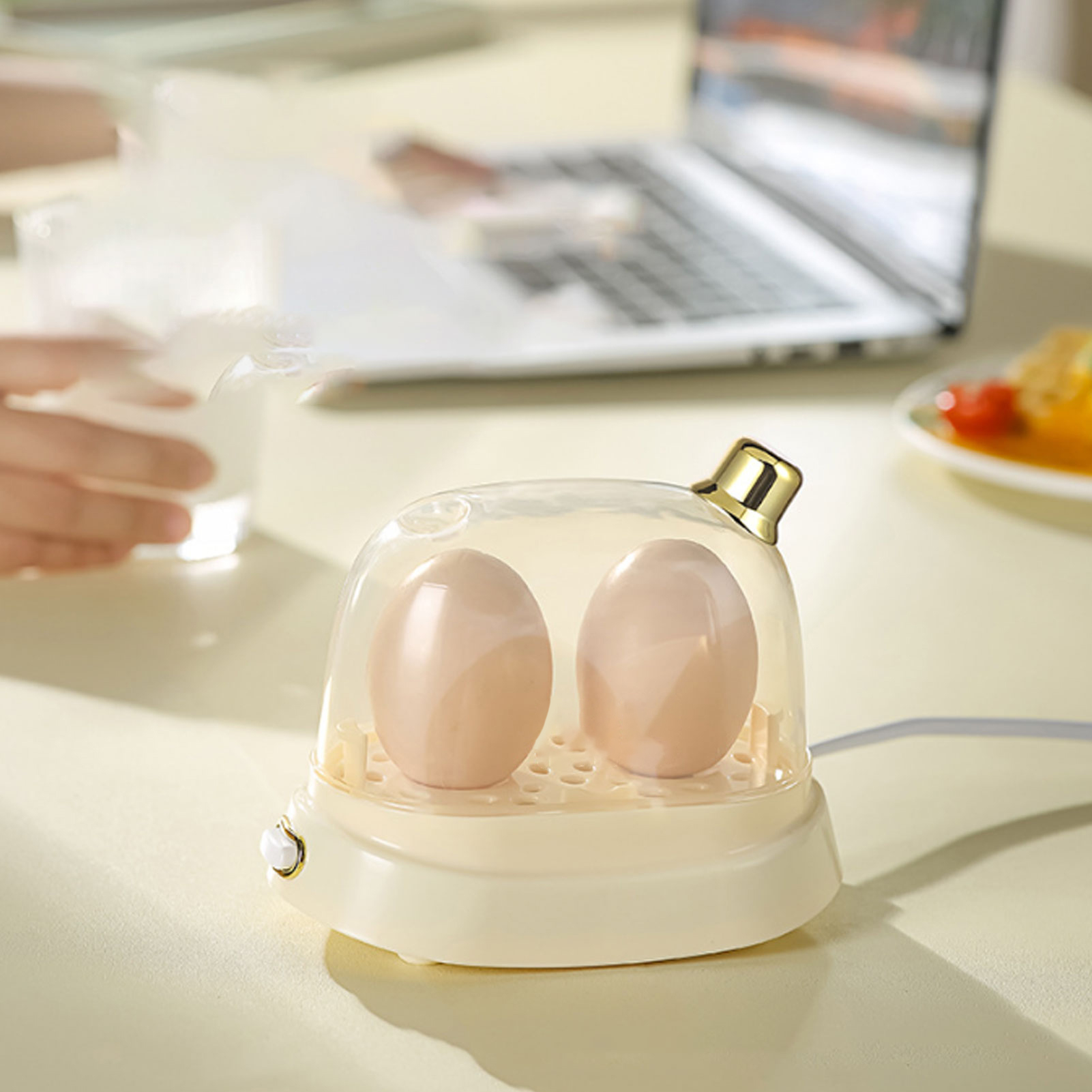 Rapid Egg Cooker 2 Egg Capacit - đánh giá và giá Egg Cooker Rapid